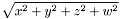 \[\sqrt{x^2+y^2+z^2+w^2}\]